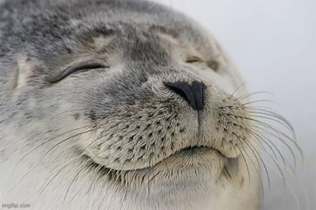 Satisfied